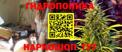 spice Ачхой-Мартан