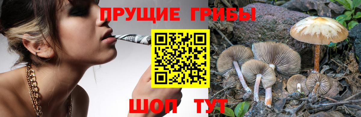 Галлюциногенные грибы прущие грибы Алушта
